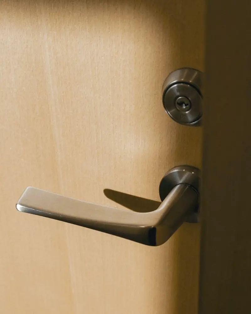A brushed steel lever and deadlock on a timber back door.
